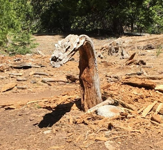 اليكم 16 لقطة مدهشة من الطبيعة ليس لها تفسير صورة رقم 16