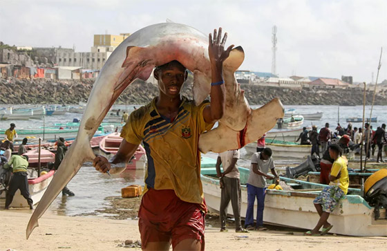 إليكم نبذة مصورة لأهم أحداث الأسبوع من مختلف أنحاء العالم صورة رقم 27 إليكم نبذة مصورة لأهم أحداث الأسبوع من مختلف أنحاء العالم صورة رقم 27