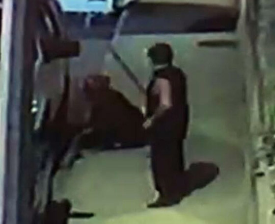 وسط الشارع بإسطنبول.. تركي يقتل امرأة بسيف ساموراي لشعوره بالملل! صورة رقم 3 وسط الشارع بإسطنبول.. تركي يقتل امرأة بسيف ساموراي لشعوره بالملل! صورة رقم 3