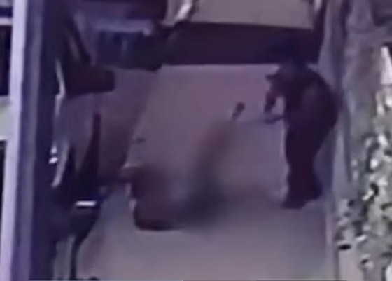 وسط الشارع بإسطنبول.. تركي يقتل امرأة بسيف ساموراي لشعوره بالملل! صورة رقم 12 وسط الشارع بإسطنبول.. تركي يقتل امرأة بسيف ساموراي لشعوره بالملل! صورة رقم 12