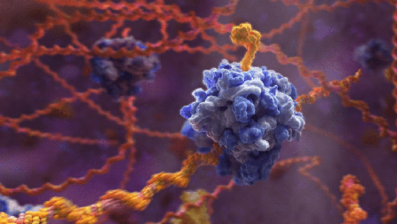 فيديو رائع لحظة بلحظة.. هكذا يخترق كورونا أجسادنا، وهكذا يعمل اللقاح! صورة رقم 4 فيديو رائع لحظة بلحظة.. هكذا يخترق كورونا أجسادنا، وهكذا يعمل اللقاح! صورة رقم 4