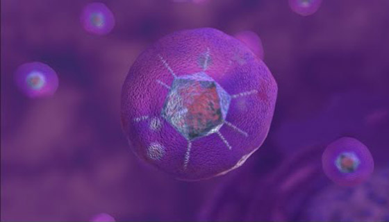 فيديو رائع لحظة بلحظة.. هكذا يخترق كورونا أجسادنا، وهكذا يعمل اللقاح! صورة رقم 6 فيديو رائع لحظة بلحظة.. هكذا يخترق كورونا أجسادنا، وهكذا يعمل اللقاح! صورة رقم 6