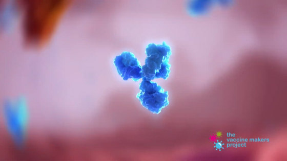 فيديو رائع لحظة بلحظة.. هكذا يخترق كورونا أجسادنا، وهكذا يعمل اللقاح! صورة رقم 7 فيديو رائع لحظة بلحظة.. هكذا يخترق كورونا أجسادنا، وهكذا يعمل اللقاح! صورة رقم 7