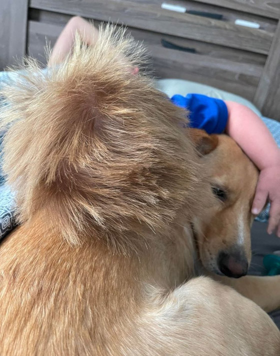 خدع بصرية من الطبيعة.. لا تحكم على الصورة من النظرة الأولى صورة رقم 3