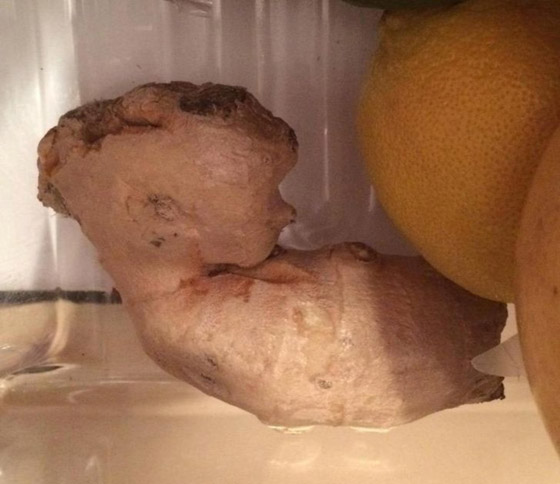 خدع بصرية من الطبيعة.. لا تحكم على الصورة من النظرة الأولى صورة رقم 5