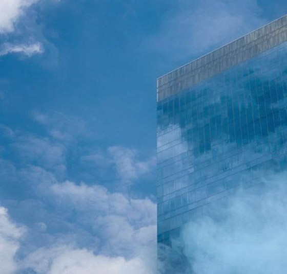 خدع بصرية من الطبيعة.. لا تحكم على الصورة من النظرة الأولى صورة رقم 6