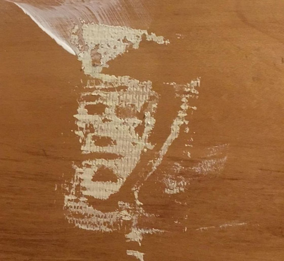 خدع بصرية من الطبيعة.. لا تحكم على الصورة من النظرة الأولى صورة رقم 7