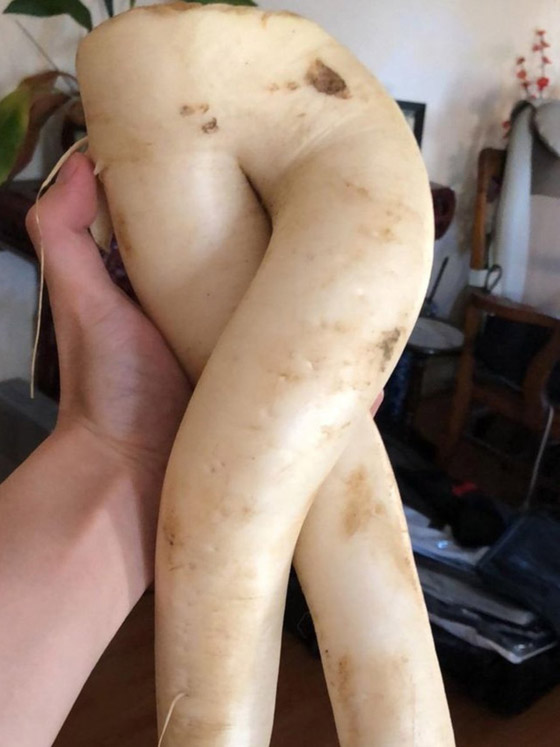 خدع بصرية من الطبيعة.. لا تحكم على الصورة من النظرة الأولى صورة رقم 9