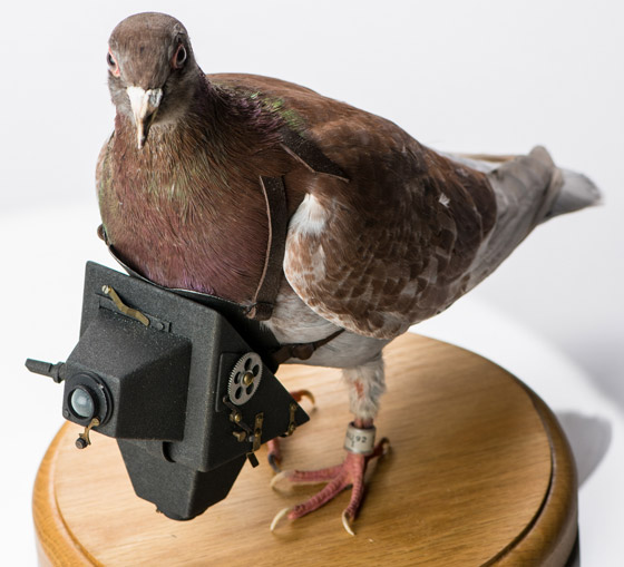 أحمر شفاه ومظلة.. إليكم أغرب أجهزة التجسس والاستخبارات عبر التاريخ صورة رقم 3