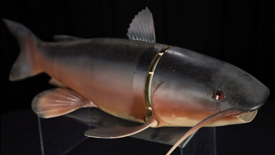 أحمر شفاه ومظلة.. إليكم أغرب أجهزة التجسس والاستخبارات عبر التاريخ صورة رقم 5