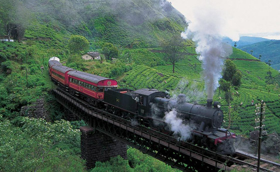 تعرفوا إلى 6 رحلات قطار مذهلة للطعام والمشاهد الساحرة والثقافة في آسيا صورة رقم 3