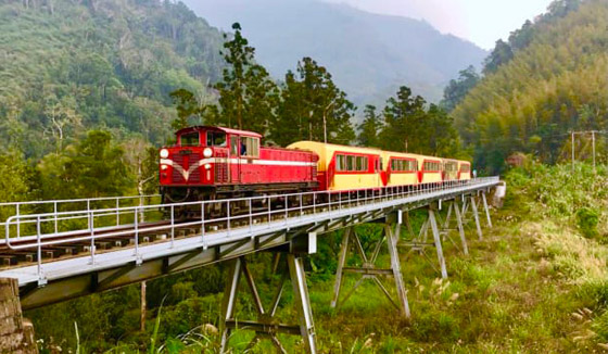 تعرفوا إلى 6 رحلات قطار مذهلة للطعام والمشاهد الساحرة والثقافة في آسيا صورة رقم 5