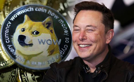 متفوقة على بيتكوين.. عملة 