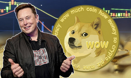 متفوقة على بيتكوين.. عملة 