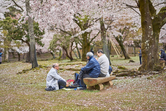 قرار تاريخي باليابان! باب الهجرة إليها أصبح مفتوحا بعدما كان من المُحرمات صورة رقم 8 قرار تاريخي باليابان! باب الهجرة إليها أصبح مفتوحا بعدما كان من المُحرمات صورة رقم 8