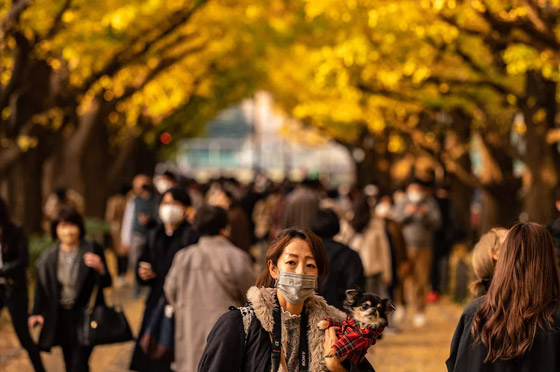 قرار تاريخي باليابان! باب الهجرة إليها أصبح مفتوحا بعدما كان من المُحرمات صورة رقم 9 قرار تاريخي باليابان! باب الهجرة إليها أصبح مفتوحا بعدما كان من المُحرمات صورة رقم 9