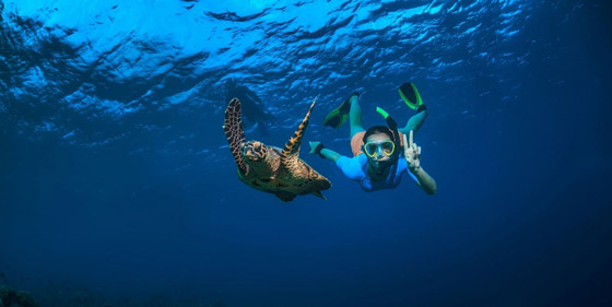 لمحبي المغامرات: نشاطات رياضية لن تجدوها سوى في جزر السيشل صورة رقم 1