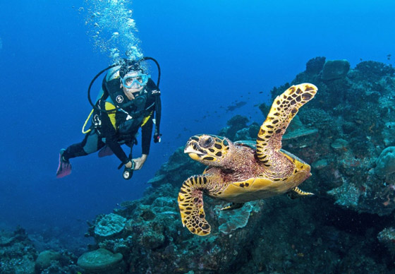 لمحبي المغامرات: نشاطات رياضية لن تجدوها سوى في جزر السيشل صورة رقم 3