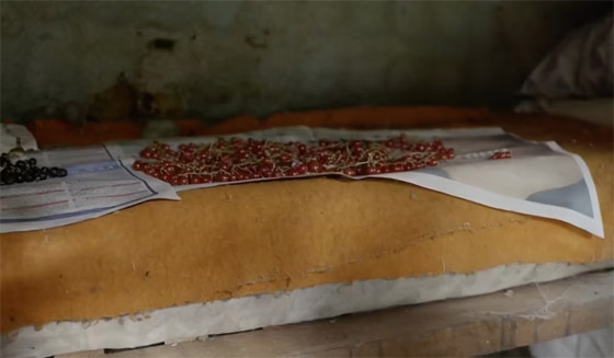 اعتزل المجتمع بعد تعرضه للضرب.. الرجل الذي عاش زاهدا 40 عاما صورة رقم 16