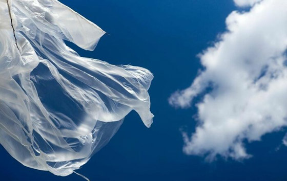 مصور يبرز في الصور كيف ابتسمت له الطبيعة ومنحته اللحظة المناسبة صورة رقم 1