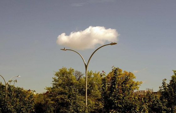 مصور يبرز في الصور كيف ابتسمت له الطبيعة ومنحته اللحظة المناسبة صورة رقم 3