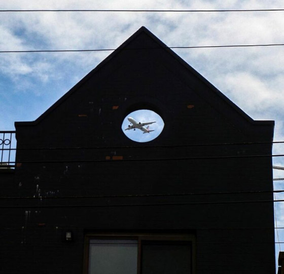 مصور يبرز في الصور كيف ابتسمت له الطبيعة ومنحته اللحظة المناسبة صورة رقم 4