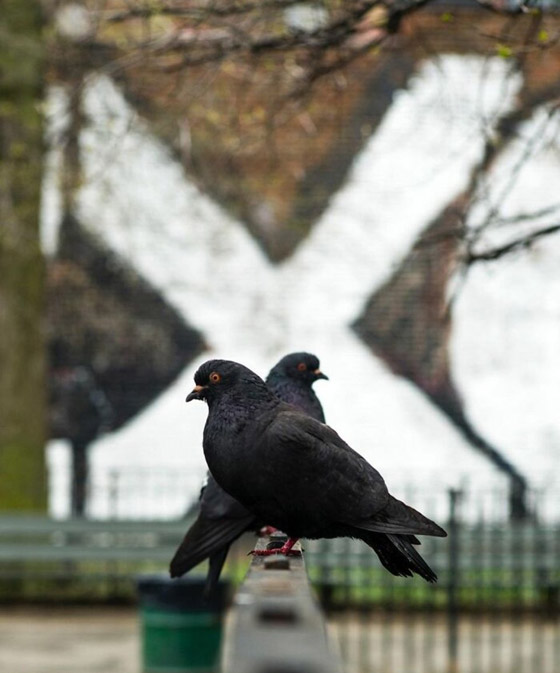 مصور يبرز في الصور كيف ابتسمت له الطبيعة ومنحته اللحظة المناسبة صورة رقم 6