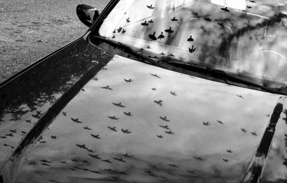 مصور يبرز في الصور كيف ابتسمت له الطبيعة ومنحته اللحظة المناسبة صورة رقم 7