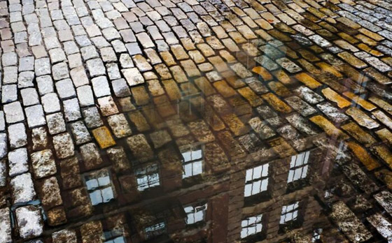 مصور يبرز في الصور كيف ابتسمت له الطبيعة ومنحته اللحظة المناسبة صورة رقم 8