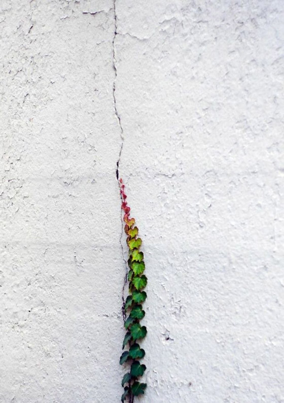 مصور يبرز في الصور كيف ابتسمت له الطبيعة ومنحته اللحظة المناسبة صورة رقم 9