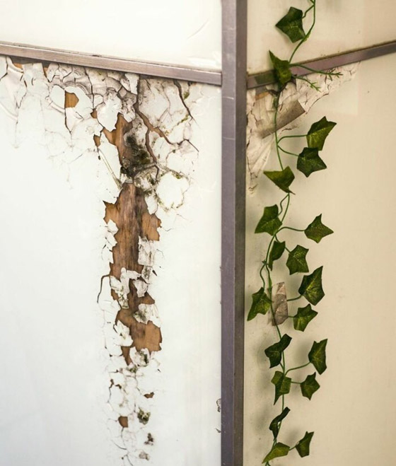 مصور يبرز في الصور كيف ابتسمت له الطبيعة ومنحته اللحظة المناسبة صورة رقم 12