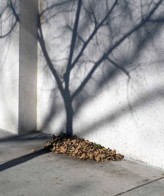 مصور يبرز في الصور كيف ابتسمت له الطبيعة ومنحته اللحظة المناسبة صورة رقم 13