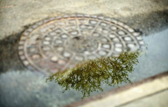 مصور يبرز في الصور كيف ابتسمت له الطبيعة ومنحته اللحظة المناسبة صورة رقم 14