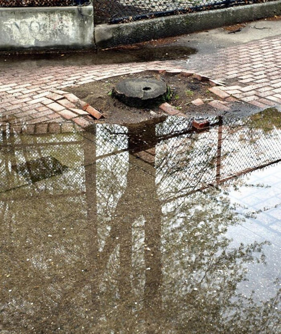 مصور يبرز في الصور كيف ابتسمت له الطبيعة ومنحته اللحظة المناسبة صورة رقم 16