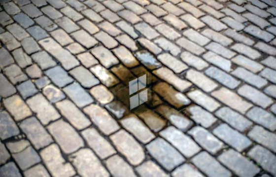 مصور يبرز في الصور كيف ابتسمت له الطبيعة ومنحته اللحظة المناسبة صورة رقم 17