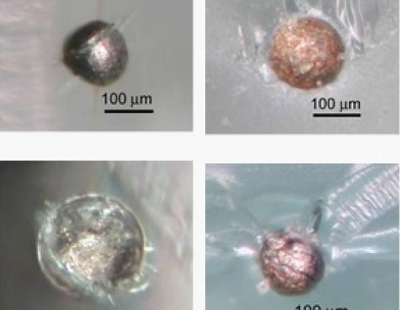 وداعا لمشكلة تكسر الشاشات.. علماء يبتكرون زجاجا فائق الصلابة صورة رقم 6 وداعا لمشكلة تكسر الشاشات.. علماء يبتكرون زجاجا فائق الصلابة صورة رقم 6