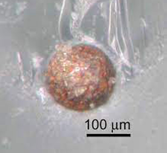 وداعا لمشكلة تكسر الشاشات.. علماء يبتكرون زجاجا فائق الصلابة صورة رقم 7 وداعا لمشكلة تكسر الشاشات.. علماء يبتكرون زجاجا فائق الصلابة صورة رقم 7