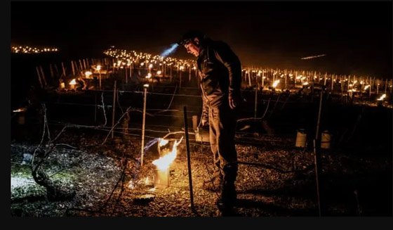 فرنسا تعاني من 