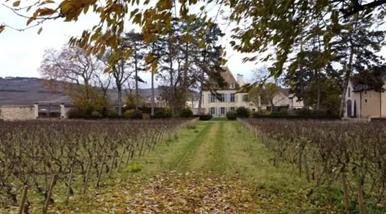 فرنسا تعاني من 