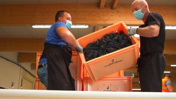 فرنسا تعاني من 