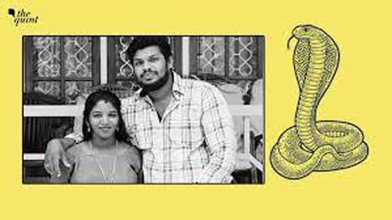 يستخدم أفعى سامة لقتل زوجته وهي نائمة صورة رقم 3