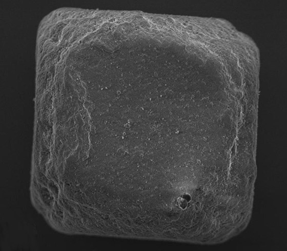 الكشف عن كاميرا بحجم 