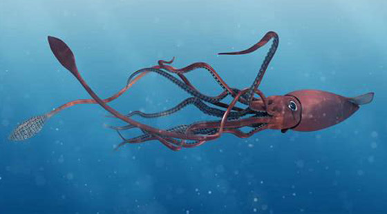 بالصور: ما هي أكبر الكائنات الحية على كوكب الأرض؟ تعرفوا إليها.. صورة رقم 5