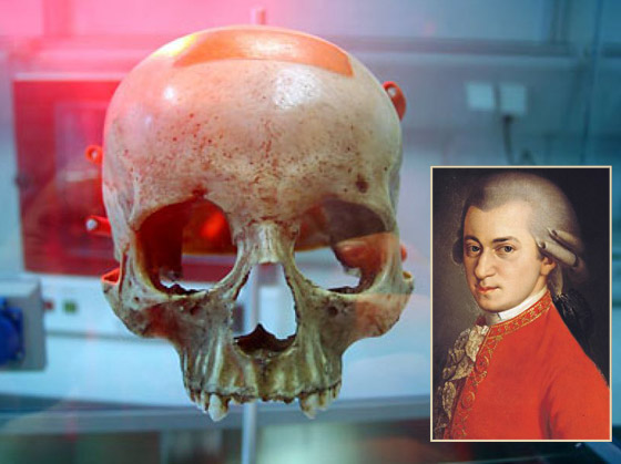 أصابع جاليليو ورأس آينشتاين سُرقا.. أعضاء شخصيات شهيرة لم تُدفن معهم صورة رقم 4