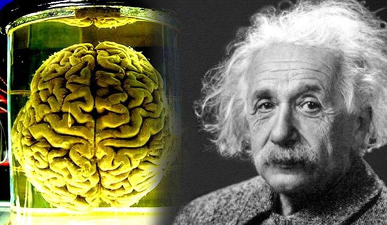 أصابع جاليليو ورأس آينشتاين سُرقا.. أعضاء شخصيات شهيرة لم تُدفن معهم صورة رقم 5