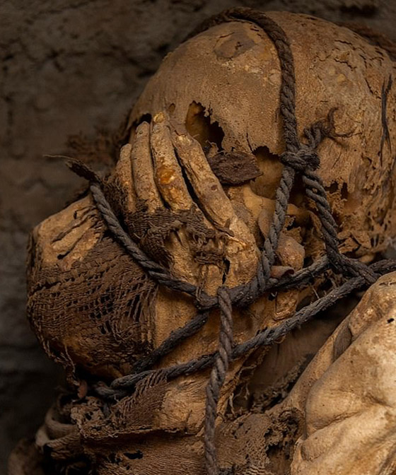 بالصور.. مومياء غريبة مكبلة اليدين بالحبال في مقبرة تحت الأرض! صورة رقم 3