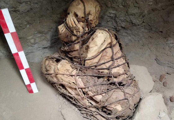 بالصور.. مومياء غريبة مكبلة اليدين بالحبال في مقبرة تحت الأرض! صورة رقم 6