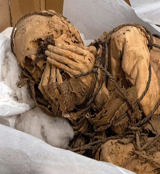 بالصور.. مومياء غريبة مكبلة اليدين بالحبال في مقبرة تحت الأرض! صورة رقم 10
