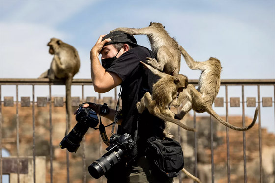 إليكم نبذة مصورة لأهم أحداث الأسبوع من مختلف أنحاء العالم صورة رقم 13 إليكم نبذة مصورة لأهم أحداث الأسبوع من مختلف أنحاء العالم صورة رقم 13
