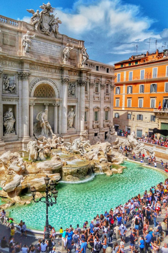 تتصارع منظمات الدولة عليها.. تعرفوا على 